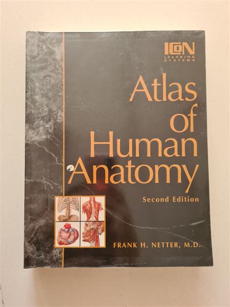 Netters Atlas Of Human Anatomy 2nd Edition Books And Stationery