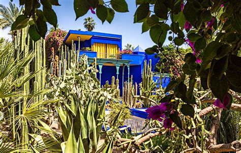 Visiter Le Jardin Majorelle à Marrakech Wild Birds Collective