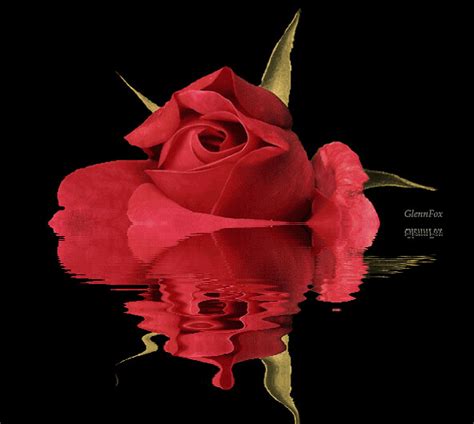 top 129 imagenes de rosas brillantes con movimiento smartindustry mx