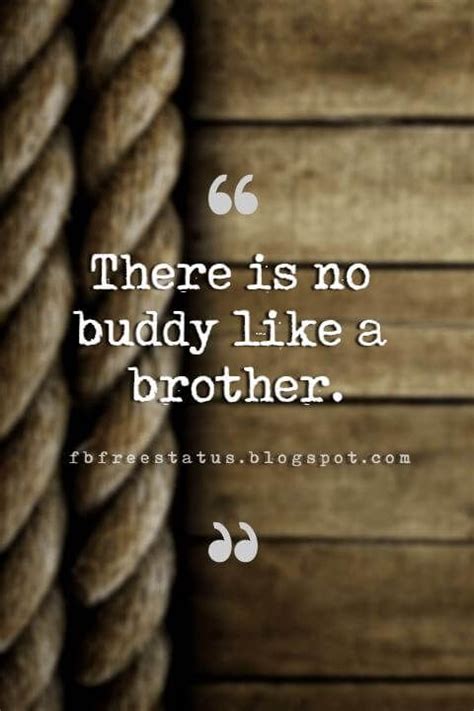 quotes about brothers brother quotes and sibling sayings brother quotes my brother quotes