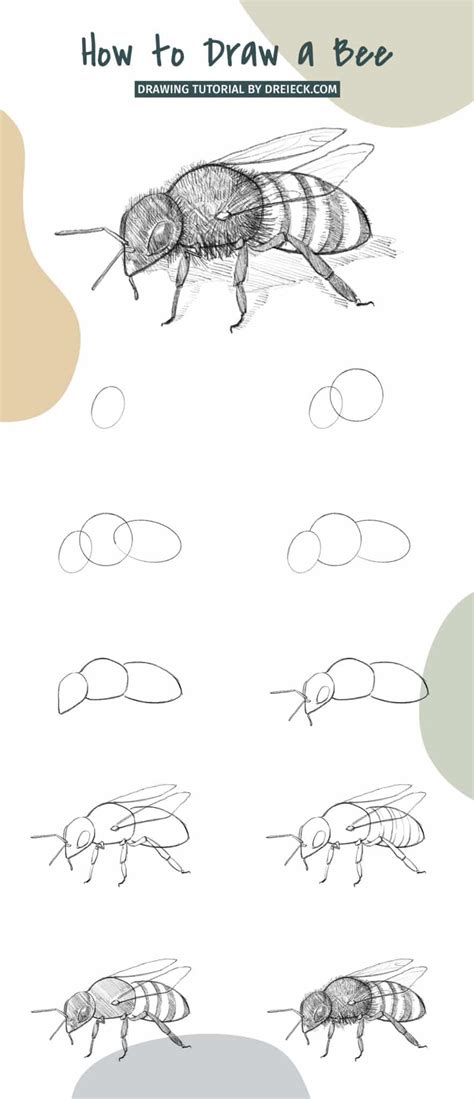 How To Draw A Bee Step By Step Tutorial 🐝