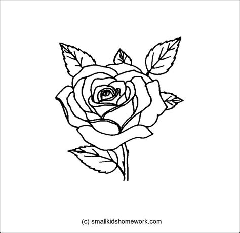 Get artistic with these free rose coloring pages for kids! Rose Flower Outline and Coloring Picture with Interesting ...