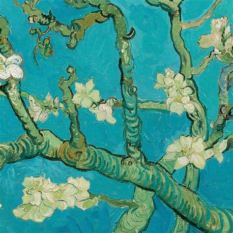 Almond Blossom Detail Van Gogh Almond Blossom Van Gogh Famous Artists Paintings