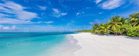 Conceito De Natureza De Praia Palm Beach Na Idílica Paradisíaca Ilha