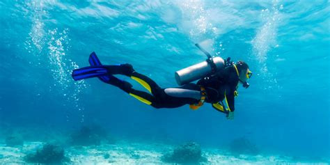 Steps To Follow Before A Dive How To Be Well Prepared And Enjoy A Safe