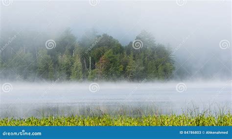 Summer Morning Foggy Mist Rises From Lake Into Cool Air Stock Image