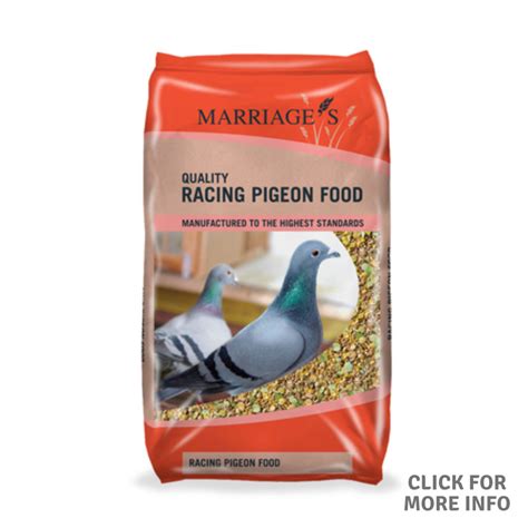 Racing Pigeon Food Marriages Quality Pet Foods And Animal Feeds