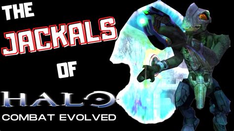 Halo Combat Evolved Jackal Breakdown Youtube