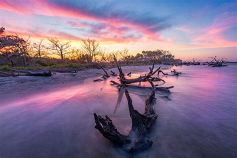 Pin By Maz Dave On Natures Scenic Pics Beach Sunset Driftwood