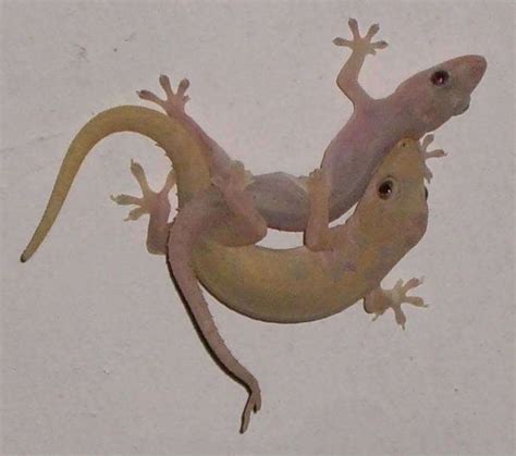 Maybe you would like to learn more about one of these? tiada.molotiviti: tiadamotif ke TIGABELAS @13....KENAPE ...
