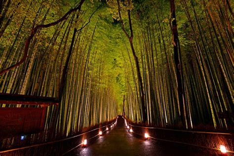 Experience My Top 5 Sightseeing Attractions In Kyoto Discover Places