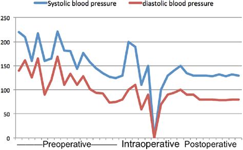 Blood Pressure Fluctuations Download Scientific Diagram