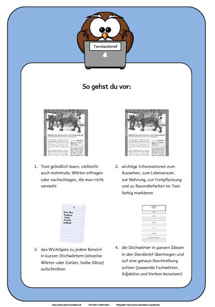 Steckbrief vorlage für mädchen gratis. Wahnsinnsklasse: Aufsatz Anleitung - Tiersteckbriefe ...