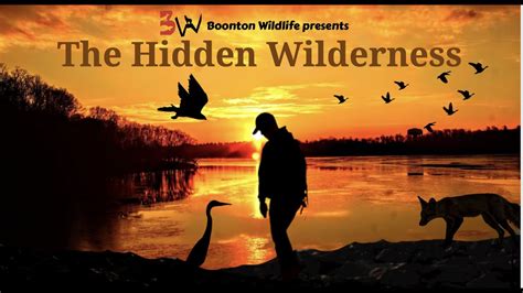 The Hidden Wilderness Youtube