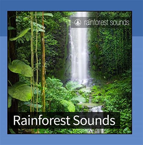 Rainforest Sounds Uk Music