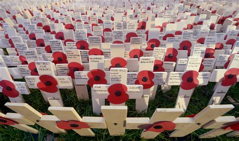 Origin Of The Remembrance Day Poppy Birmingham Live