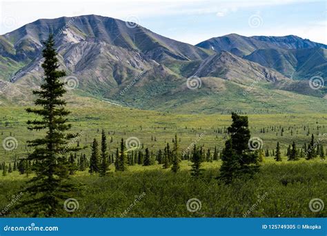 Beautiful Valley View Of The Alaska Range And Boreal Forest In Denali