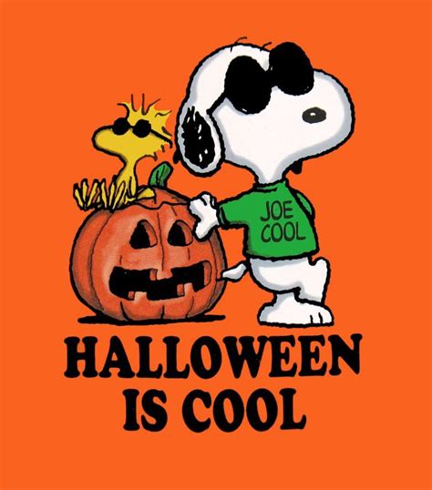 Halloween Is Cool Charlie Brown Halloween Snoopy Halloween Snoopy Funny