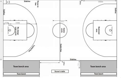 Basketball Court Dimensions Diagram Quizlet