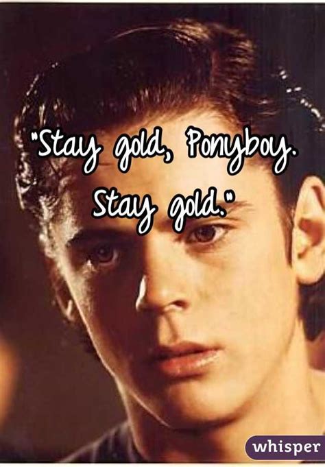 Johnny told ponyboy to stay gold, which ment, he wants ponyboy to stay strong, move on in life and do good. Stay Golden Ponyboy - Stay golden, ponyboy by a wolf. - Anasintxatb