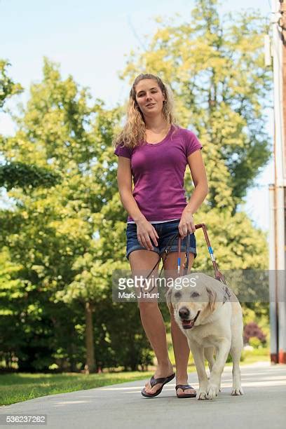 Service Dog In Action Photos And Premium High Res Pictures Getty Images