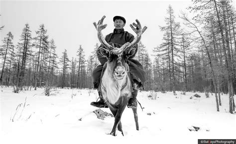 reportage photo avec les tsaatans en hiver yurtmongol reportage photo mongolia portraits