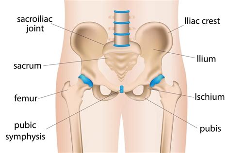 Iliac Crest Pain What Causes It How To Relief Pain