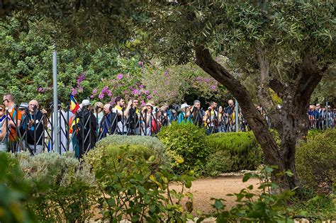 Facts About The Garden Of Gethsemane Fasci Garden
