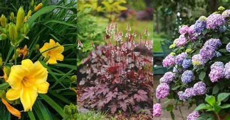 When it comes to flowering trees and shrubs, your best bet is to choose plants that bloom for the longest time possible. 20 Perennials For Shade That Bloom All Summer (With Pictures)