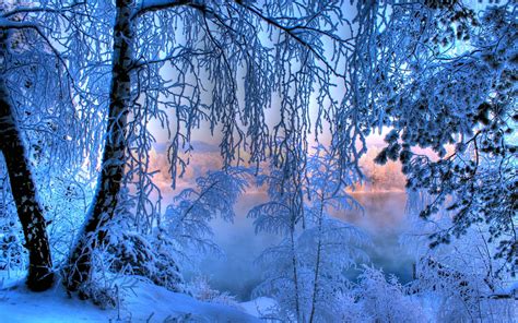 Cold Winter Frost Desktop Wallpaper 1920x1200 Зимние картинки