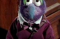 muppet gonzo muppets show through years season great first puppet wiki sad toughpigs wikia character eyes 1978 performing 1970 1977