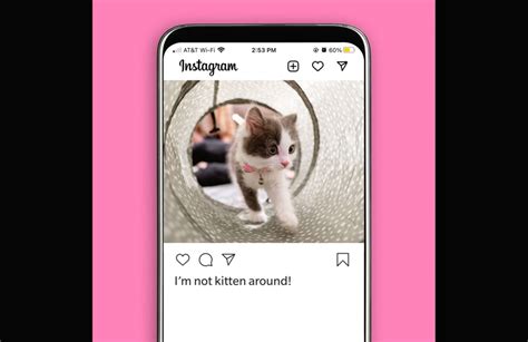 43 Purrfect Instagram Captions For Your Cat Photos Readers Digest