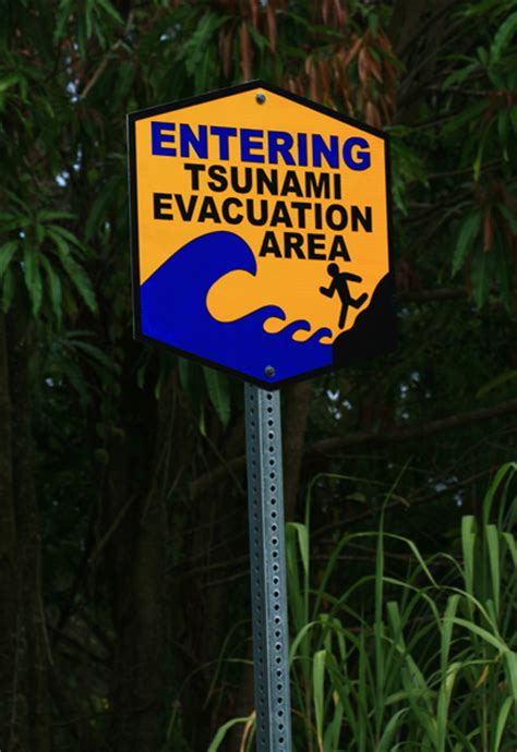 Affordable and search from millions of royalty free images, photos and vectors. What NOT to do in a tsunami - The Firefly Forest