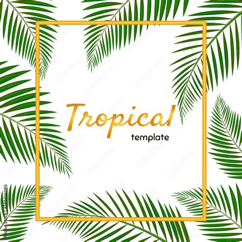 Palm Leaf Vector Background Illustration Tropical Fan Palm Tree Green