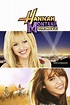 Hannah Montana: The Movie wiki, synopsis, reviews, watch and download