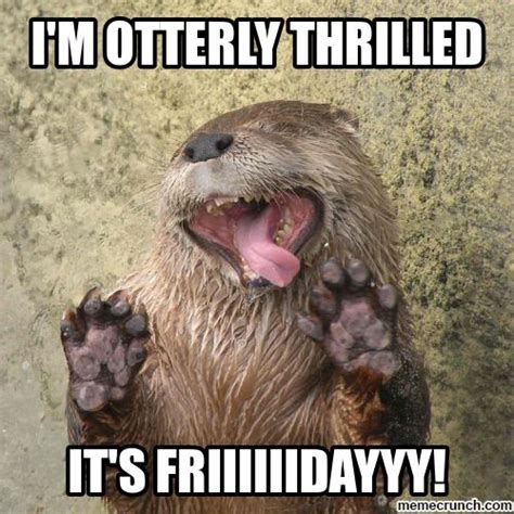 Happy Friday Cute Animals Silly Animals Otters