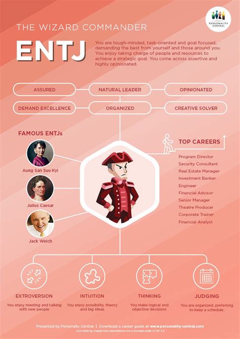 My Personality Profile Of Entj