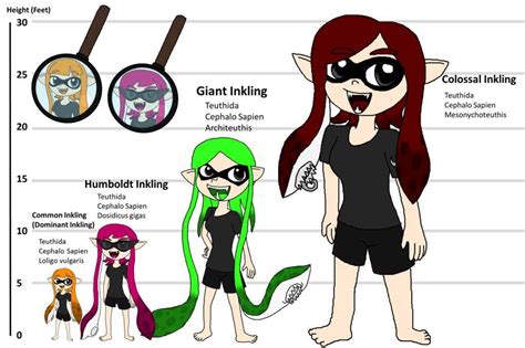 Inkling And Octoling Biology Reference Sheet Splatoon Amino