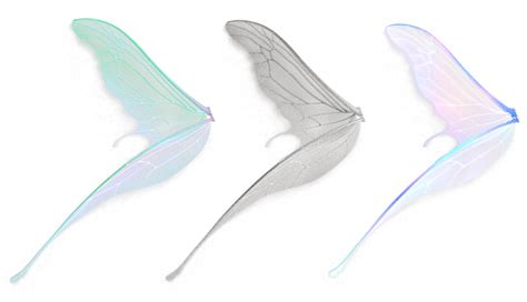 Fairy Wings Transparent Png Png Image Collection