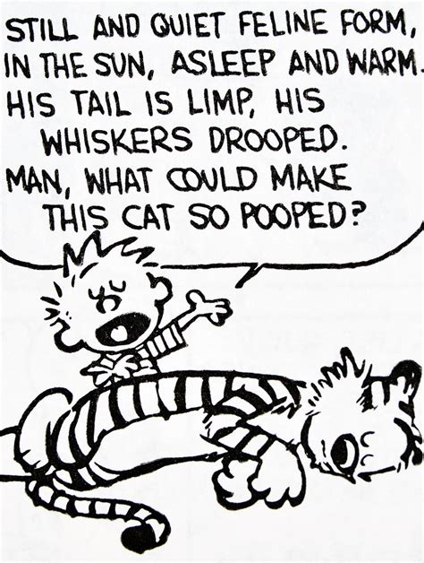 calvin and hobbes quote of the day da still and quiet feline form in the sun asleep a