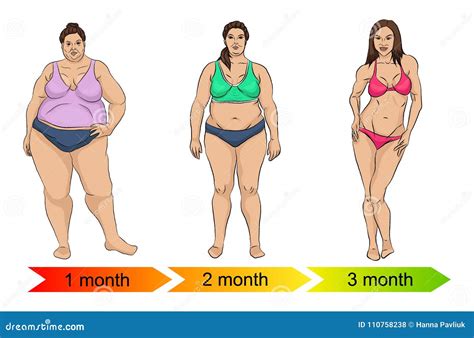 Evolution Of The Female Body From Fat To Thin Stock Vector