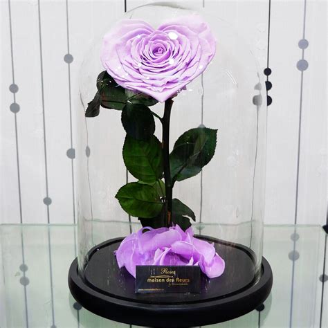 Forever Roses Forever Love Pink Ανθοπωλείο Maison Des Fleurs