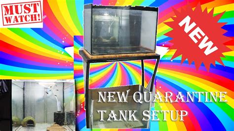 New Quarantine Tank Setup For My Aquarium Room Sakkibs Pet Life