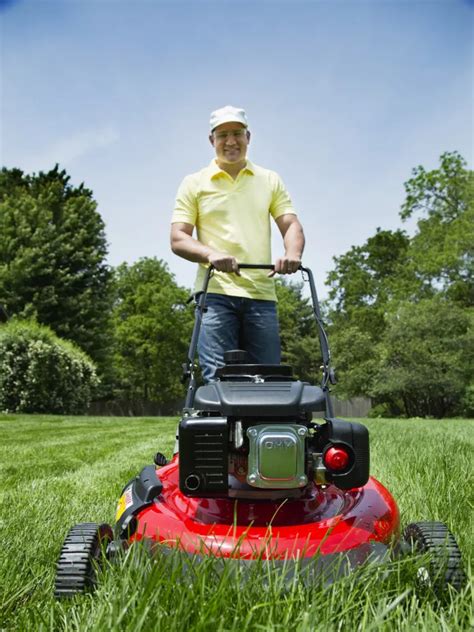 10 Best Lawn Mowers Of 2023 Reviewed