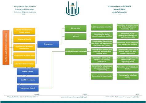 Organizational Structure Laboratory Medicine B Lab Med College Of Applied Medical