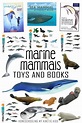 Resources for Learning about Marine Mammals | Marine mammals, Mammals ...