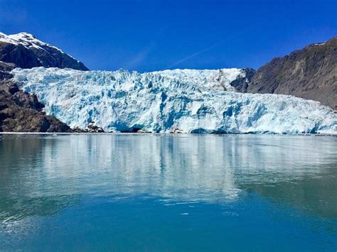 Holgate Glacier Seward 2021 All You Need To Know Before You Go