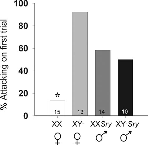 Sex Chromosome Complement And Gonadal Sex Influence Aggressive And