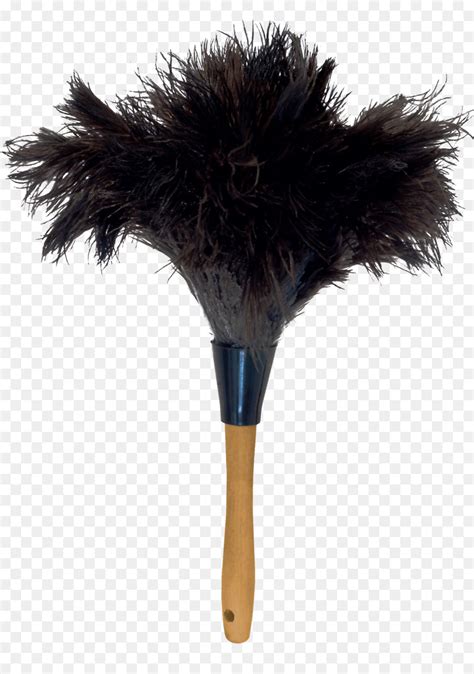 Feather Duster Png 10 Free Cliparts Download Images On Clipground 2024
