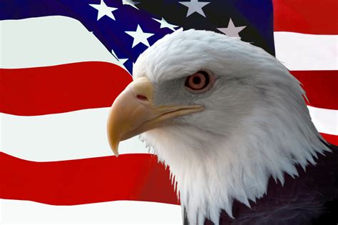 50 Patriotic Wallpapers Usa Flag Eagle Wallpapersafari
